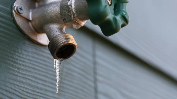 Best Shower Repair Services  in Greenville, RI
